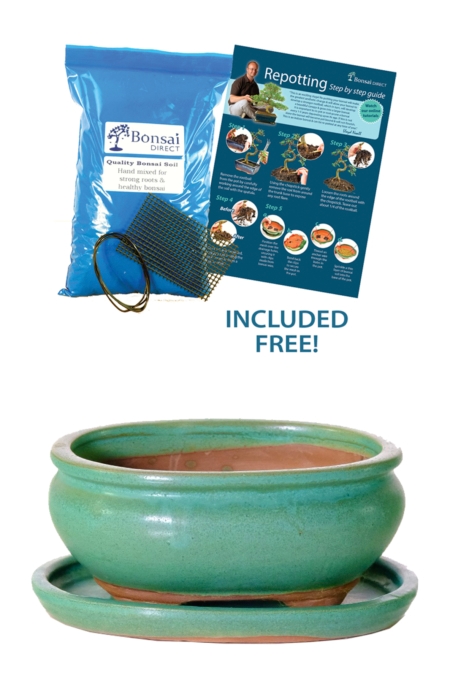 Muted Jade green oval ceramic bonsai pot - small 6 inch size