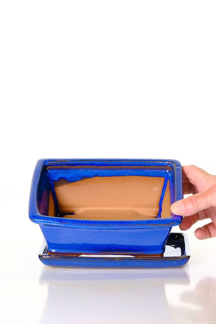 Blue rectangular 8 inch bonsai pot - 21cm with matching drip tray