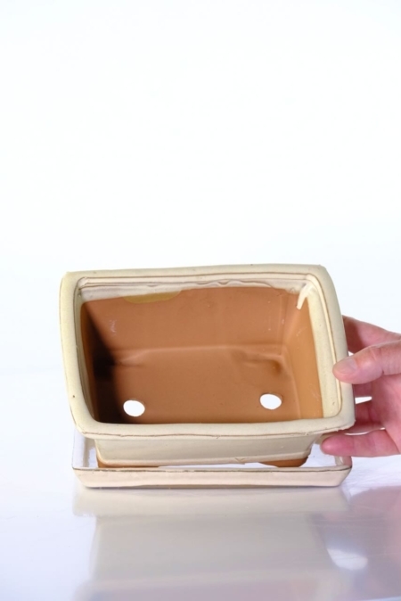 Ideal pot for indoor bonsai as supplied with matching drip tray
