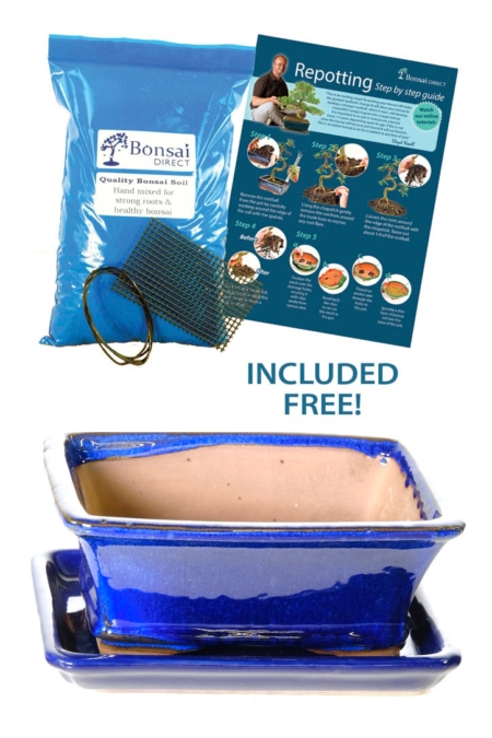 18cm (7 inch) Rectangular Glazed Cheerful Blue Ceramic Bonsai Pot with Matching Tray