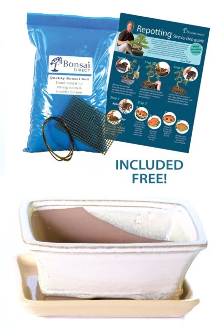 18cm (7 inch) Rectangular Glazed Soft Cream Ceramic Bonsai Pot with Matching Tra