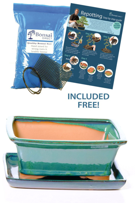 21cm Rectangular Glazed Forest Green Ceramic Bonsai Pot with Matching Tray