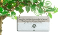 Families are like branches on a tree - Bonsai Tree Gifts UK