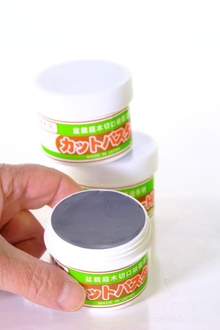 Grey bonsai cut paste - white lid