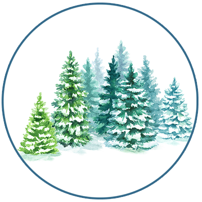 Bonsai Gifts for Special Events