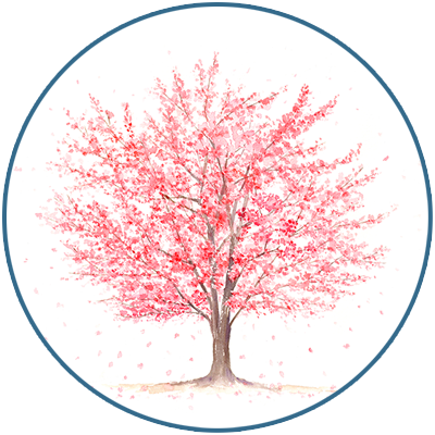 Mother's Day Bonsai Gifts