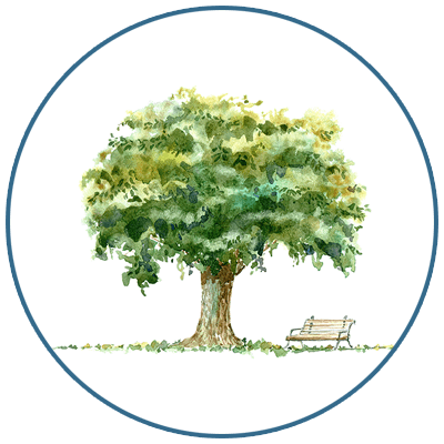 Retirement bonsai tree gifts for sale