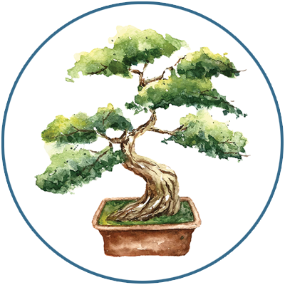 Specimen Outdoor Bonsai Trees for Sale