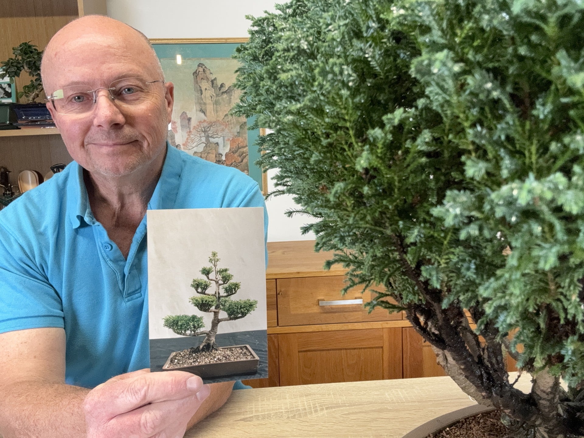 Cypress Bonsai Tree Throwback - Transformation over 26 years