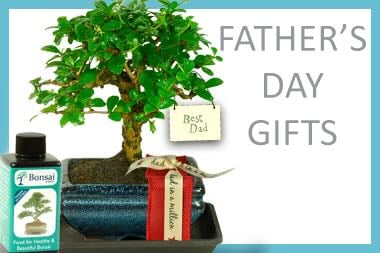 Father's Day Homepage Square