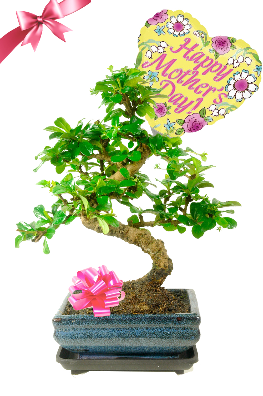 Gift your mum ever lasting flowers this Mother's Day!