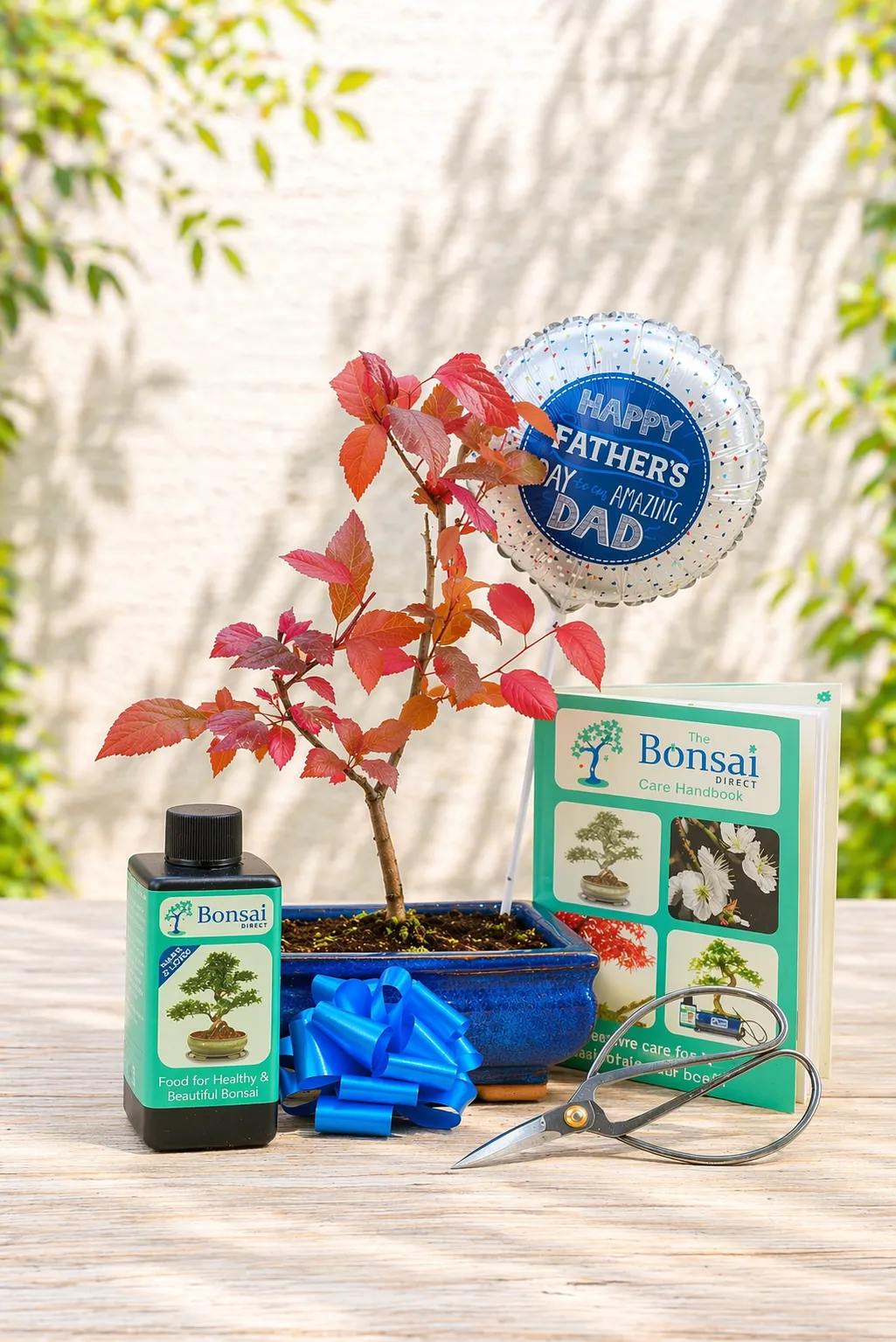 First Father’s Day Gift – A Bonsai That Grows With Dad