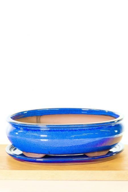 22cm blue ceramic oval bonsai pot for sale with free bonsai soil