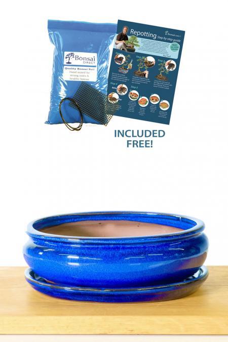 22cm (8 inch) Oval Glazed Royal Blue Ceramic Bonsai Pot & Matching Tray with free potting accessories