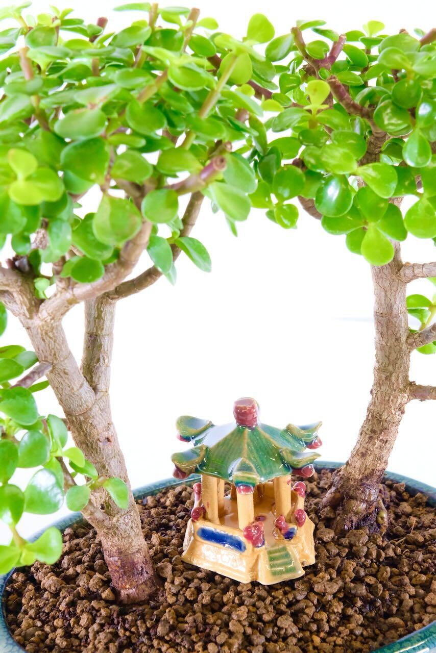 FREE fast delivery available on the date you choose