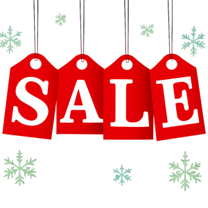 Festive bonsai tree sale 2025-2026