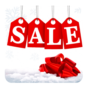 Christmas festive bonsai tree sale