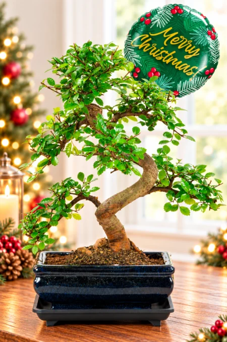 A Winter-Inspired Bonsai with Natural Character
