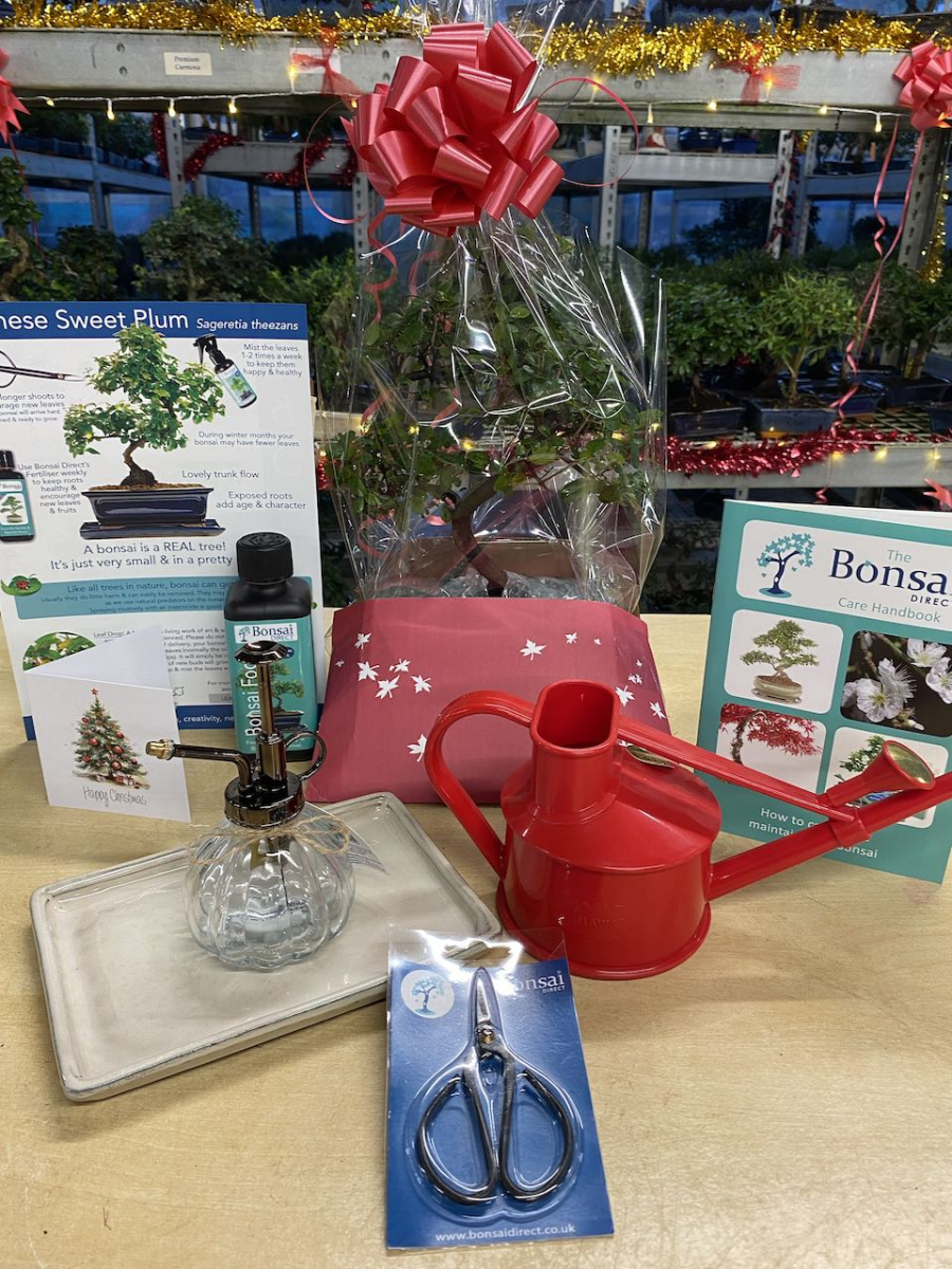 Bonsai Direct gift accessories