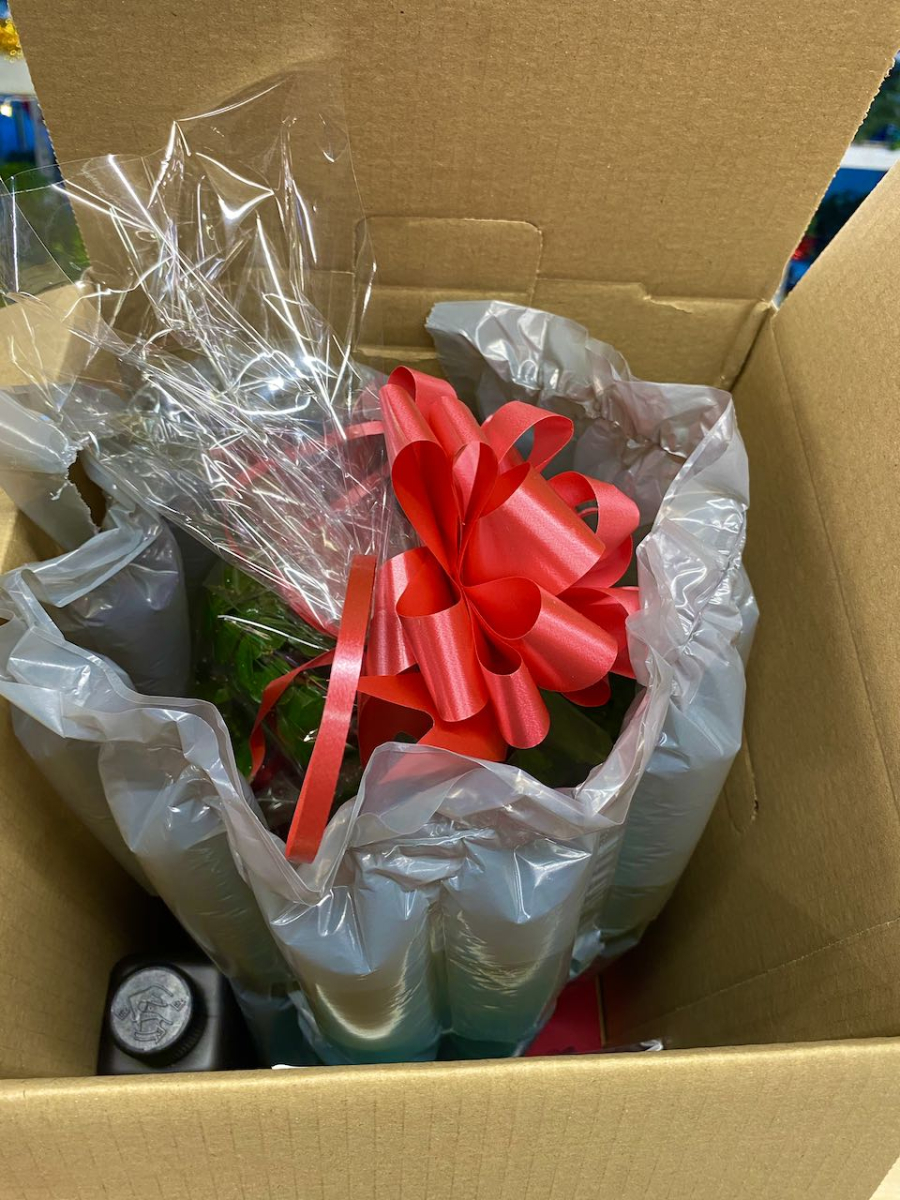 Bonsai tree packed up