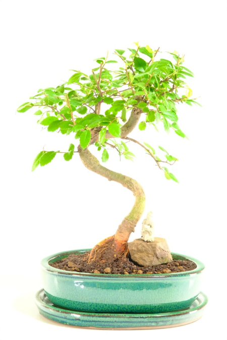 Peace & Tranquillity - A Moment of Reflection