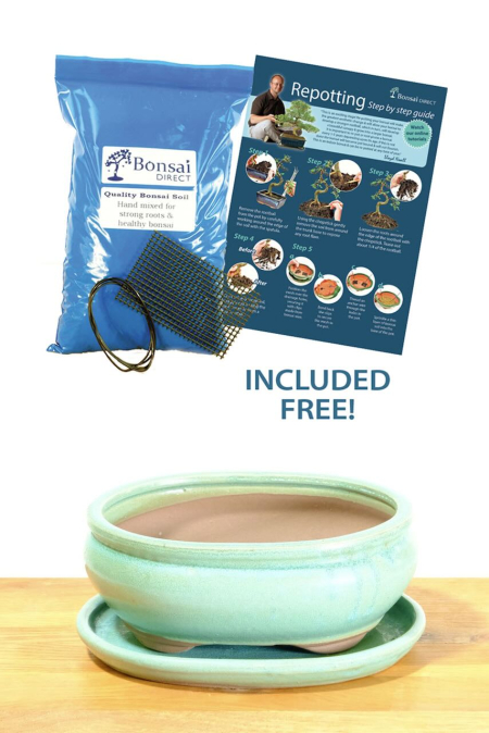 21cm (8 inch) Oval Glazed Jade Green Ceramic Bonsai Pot & Matching Tray