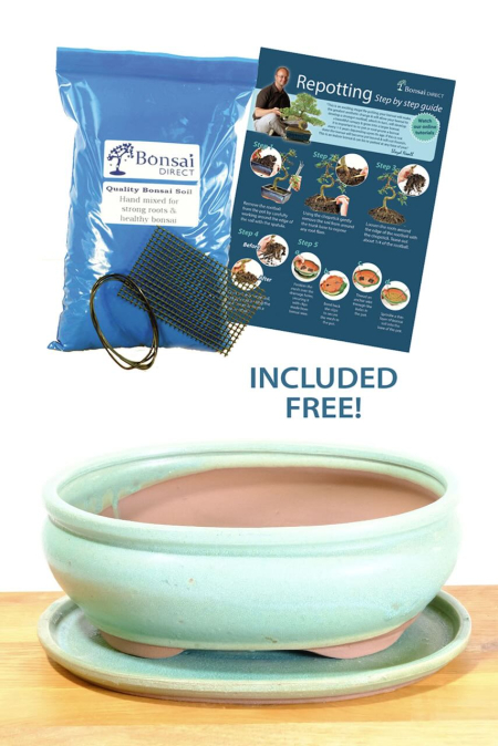 26cm (10 inch) Oval Glazed Jade Green Ceramic Bonsai Pot & Matching Tray