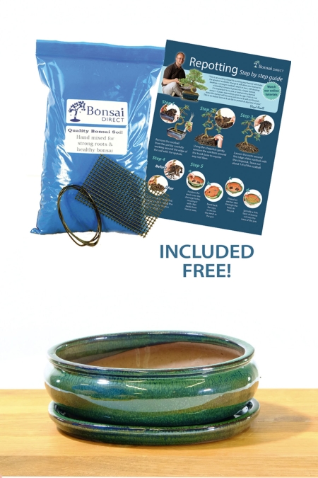 21cm (8 inch) Oval Glazed Forest Green Ceramic Bonsai Pot & Matching Tray