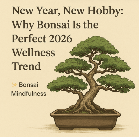 Bonsai Mindfulness