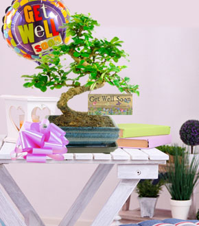 Get well soon gifts for someone special