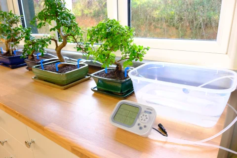 Automatic bonsai watering system - Useful for watering bonsai trees when on holiday