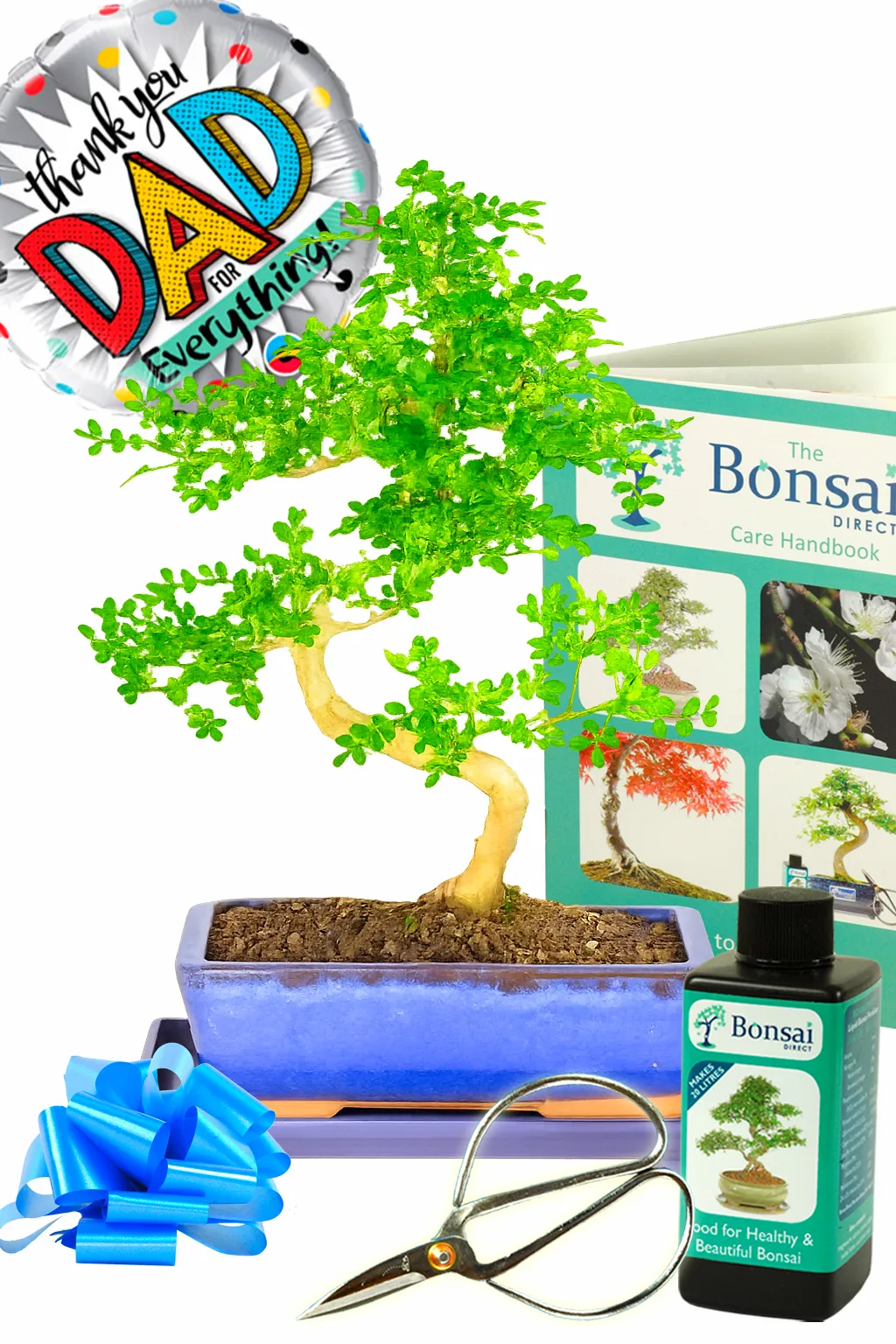 Father's Day Plant Gifts | Save 20% off of our Outstanding Aromatic Pepper Indoor Bonsai Kit!