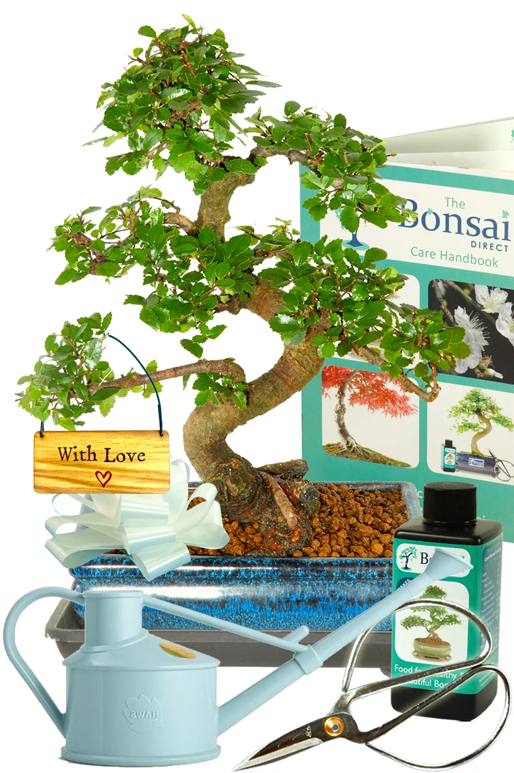 Fabulous comprehensive bonsai tree kit featuring 'With Love' tag