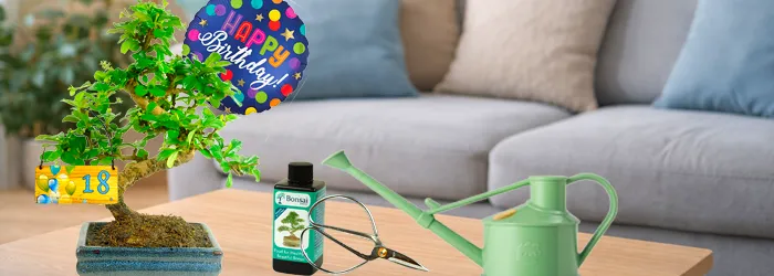 Bonsai Milestone Birthday Gifts