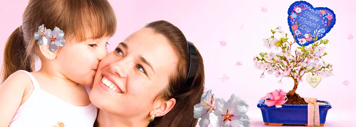 Mother's Day Bonsai Gifts