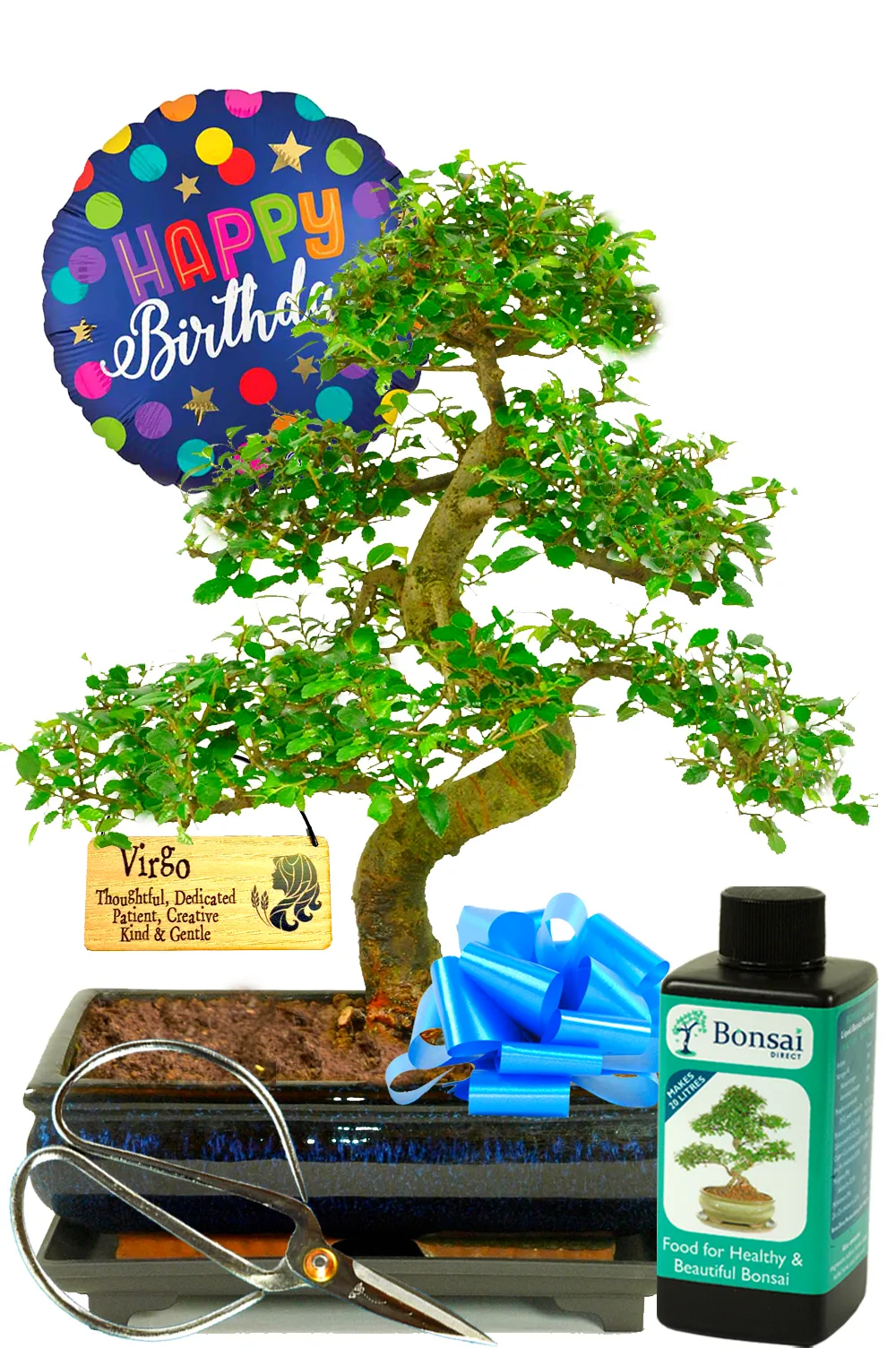 Zodiac Beginners Comprehensive Baby Elm Bonsai Set | Pisces Birthday Gift