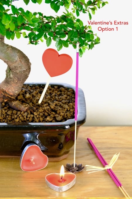 Gifting extra for valentines - option 1