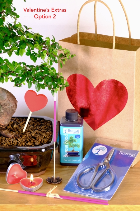 Valentines gifting extras
