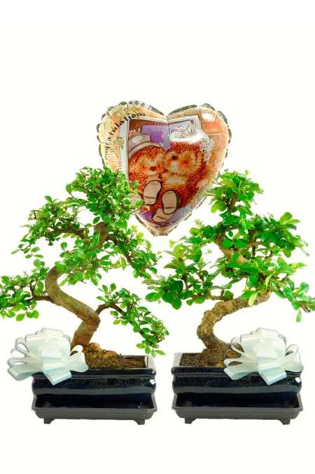 Unique Wedding Gift for Newlyweds | Perfect Together