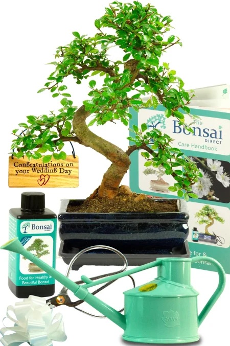 Congratulations on your wedding day! Comprehensive Chinese Kit