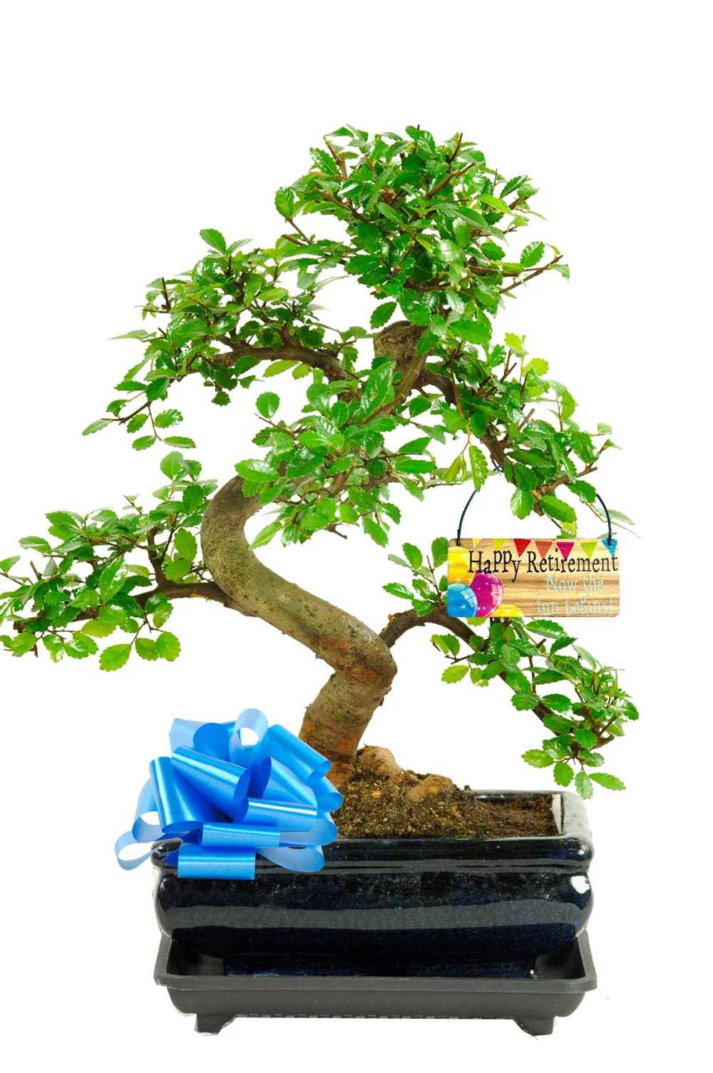 Rewarding Hobby for Retired Men and Women