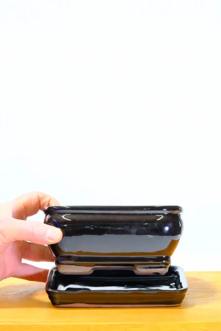 16cm Glossy Black Rectangular Bonsai Pot with Rounded Corners
