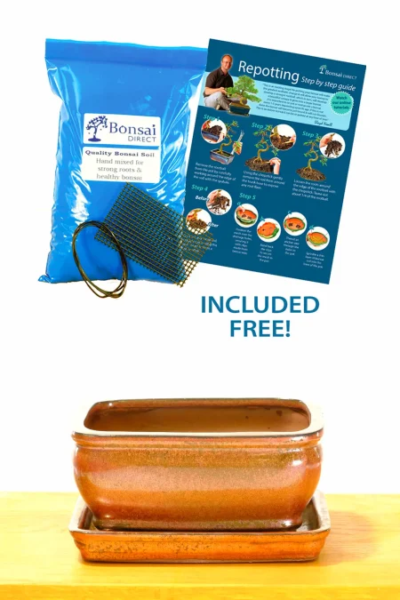 16cm (6") Sparkly Bronze Rectangular Bonsai Pot with Matching Tray & Potting Accessories