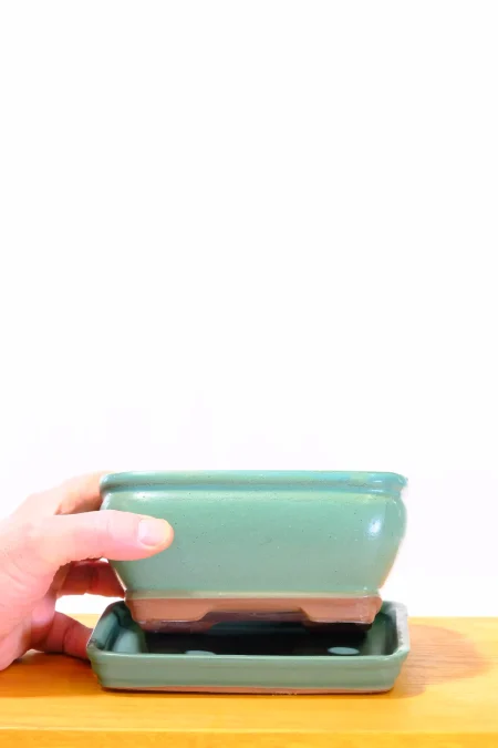 16cm Matte Jade Green Rectangular Bonsai Pot with Rounded Corners