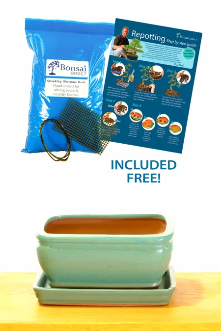 16cm (6") Matte Jade Green Rectangular Bonsai Pot with Rounded Corners and Potting Accessories