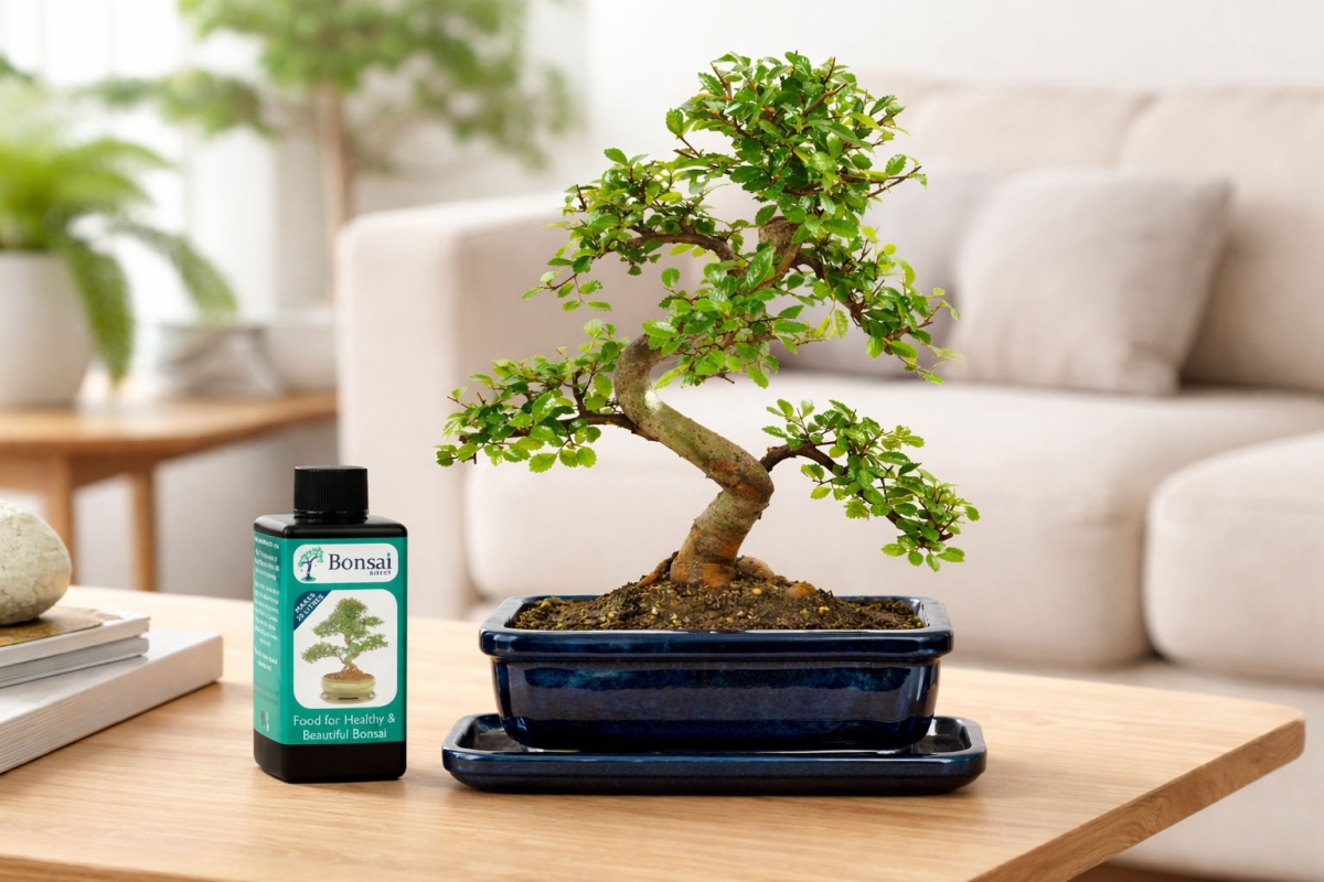 A Gift That Lasts Far Beyond the Moment