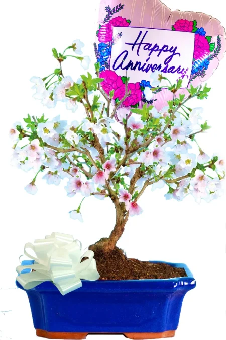 Blossoms Gift | A Flowering Wedding Anniversary Treasure