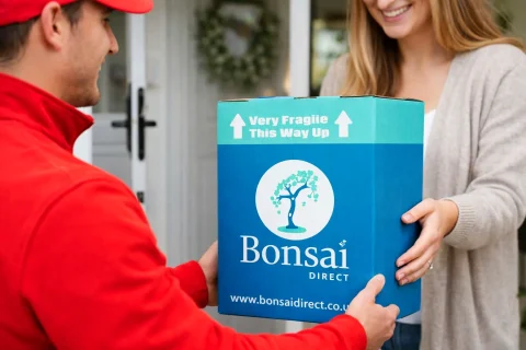 Fast free Bonsai Direct delivery available to most of the Uk on the date you choose