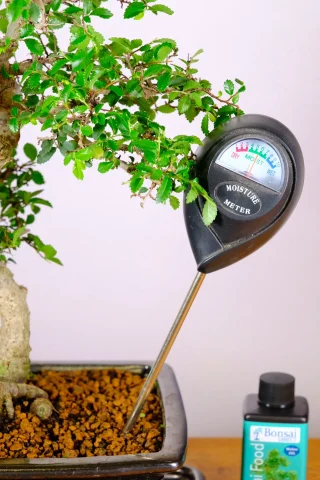 Moisture Metre