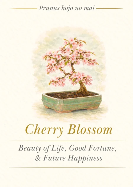 Bonsai Tree Meaning Card - Cherry Blossom